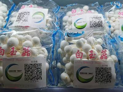 走进大湾区“菜篮子”生产基地:粤北首家工厂化栽培的食用菌企业