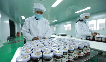 每日最高6万瓶!贵州省剑河县食用菌精深加工产业实现生产自动化